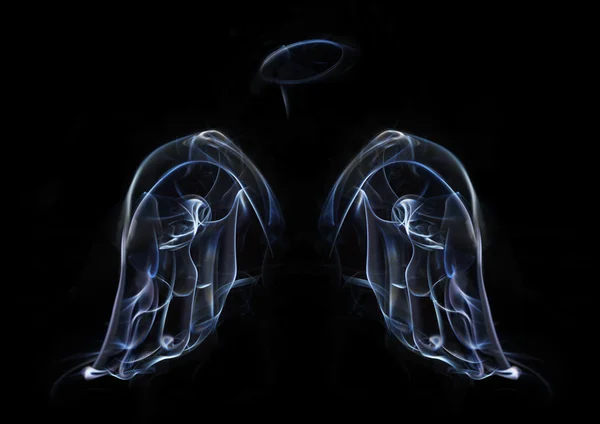 stock image Angels wings and halo