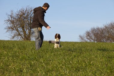 dogtraining ile İngiliz sıçramak İspanyol