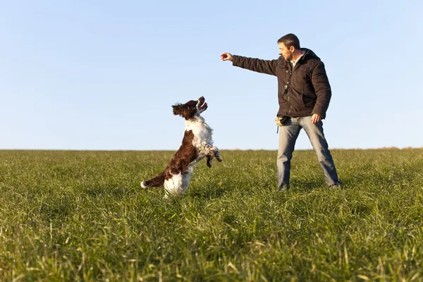 Dogtraining met Engelse springerspaniël — Stockfoto