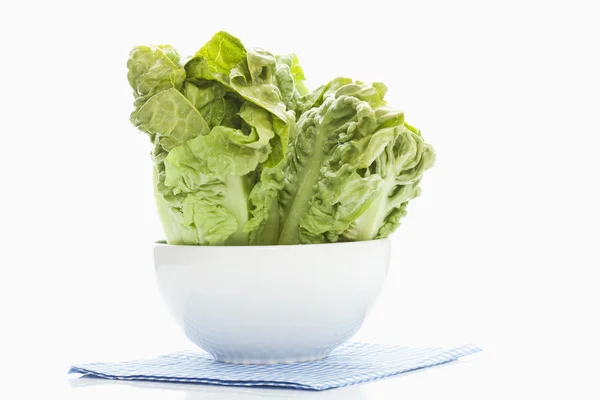 Листя салату в мисці — стокове фото