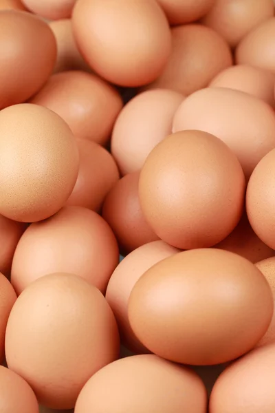 Bruna ägg — Stockfoto