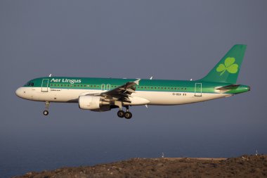 Aer Lingus Airbus A320 clipart