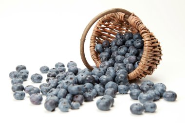 Blueberries clipart