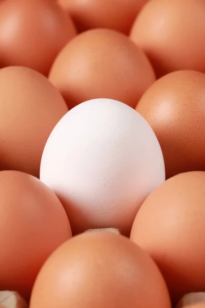 Eieren in een doos — Stockfoto