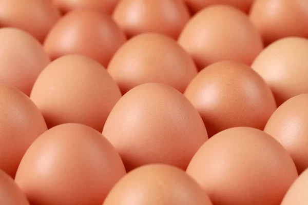 Brown Eggs — Stock Photo, Image