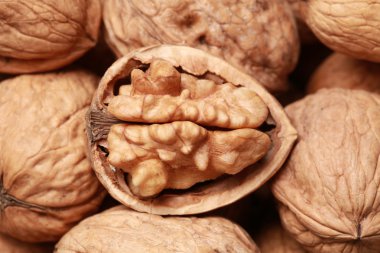 Walnuts clipart