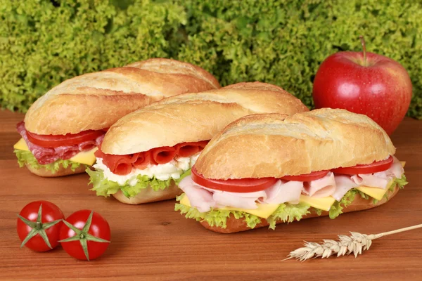 Fresh Sandwiches — Stock Photo, Image