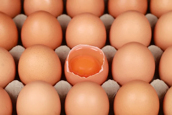 Kutudaki yumurtalar — Stok fotoğraf