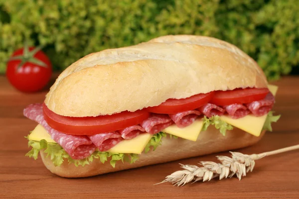 Salami Sandwich — Stock Photo, Image