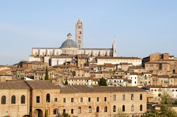 Siena, Toskana İtalya