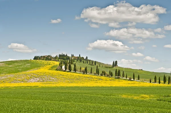 Primavera na Toscana — Fotografia de Stock