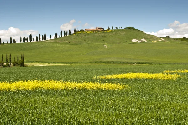 Весна в Тоскане — стоковое фото