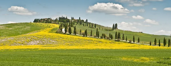 Primavera na Toscana — Fotografia de Stock