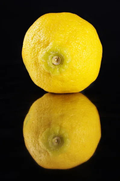 Citroen vruchten — Stockfoto
