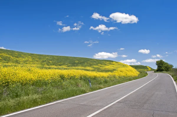 Tuscan yol Telifsiz Stok Fotoğraflar