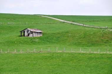 Yalnız ahır