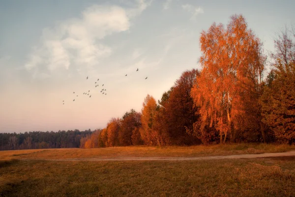 가을 풍경 스톡 사진