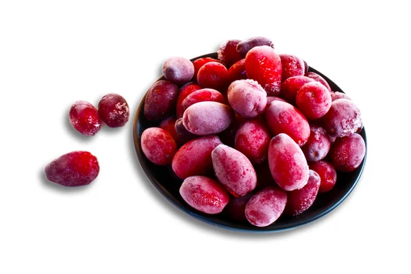 Dogwood berries — Stock Photo, Image