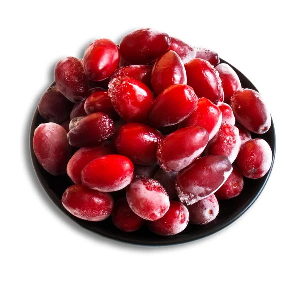 Dogwood berries — Stock Photo, Image