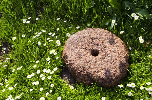 Antigua piedra de molino en césped de hierba y flores de margarita —  Fotos de Stock