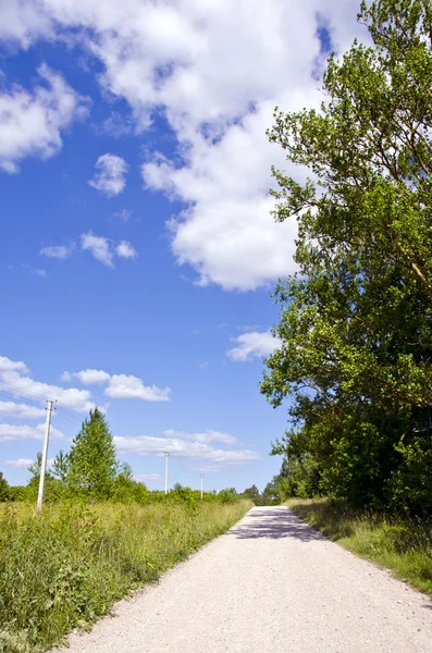 Obszarów wiejskich żwiru drogowego między łąka i Las — Zdjęcie stockowe