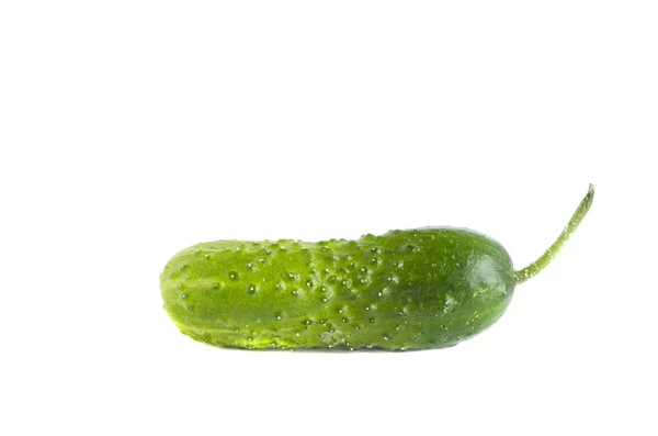 Pepino verde isolado no fundo branco — Fotografia de Stock