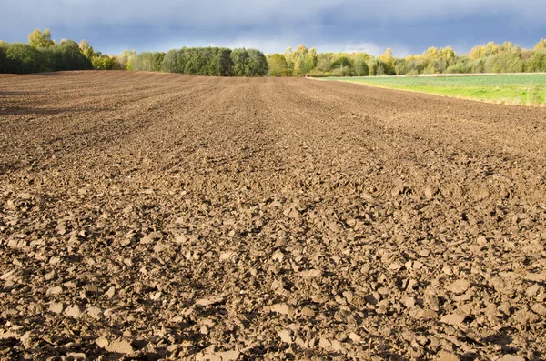 Plowed agricultural field surrounded by forest. — Stock Photo, Image