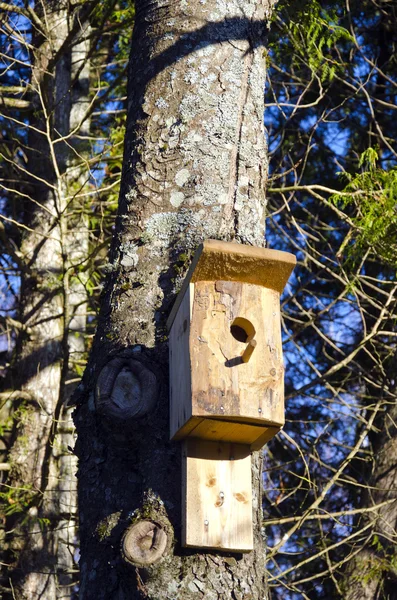 Caja de anidación de pájaros de madera recién clavada en el árbol . — Foto de Stock