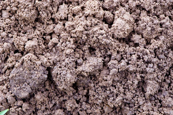 Macro closeup of dirt ground background detail. — Stock Photo, Image