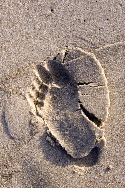 Bara fötter avtryck på våt sandstrand. — Stockfoto