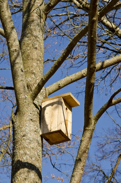 Vnoření box na ptačí přibitý, visící na větvi stromu — Stock fotografie