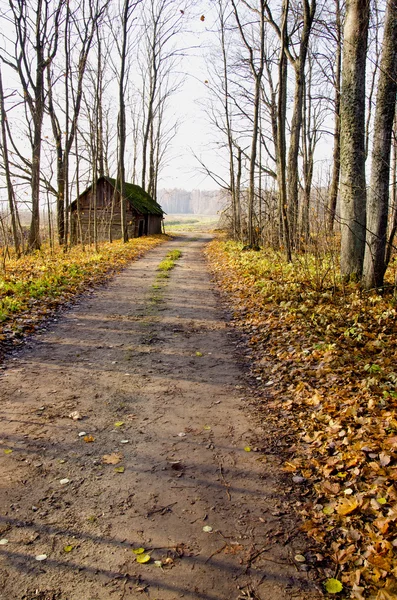 Schotterstraße, verlassenes Haus und Herbstbäume. — Stockfoto