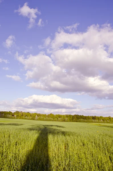 Huge green meadow and tree shadow. Cloudy blue sky — Zdjęcie stockowe