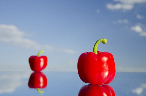 Paprika stand on mirrow in background of blue sky. — Stock Photo, Image
