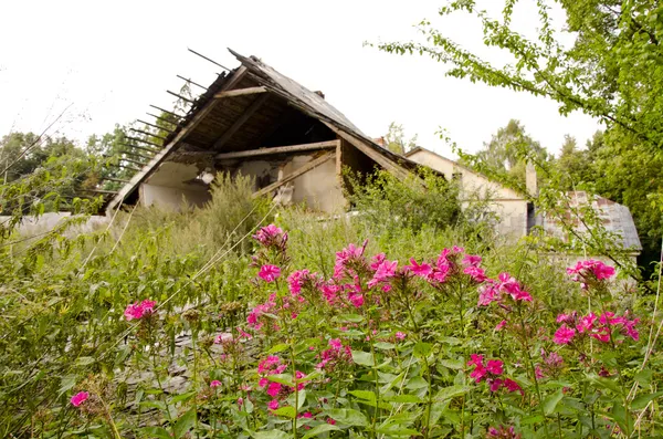 Övergiven by. sönderfallande huset trädgård rester — Stockfoto