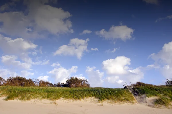 해안 모래 언덕 그리고 이어지는 계단 커버 바다 모래. — 스톡 사진