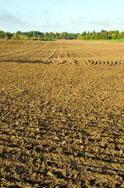 Plow campos agrícolas fundo outono — Fotografia de Stock