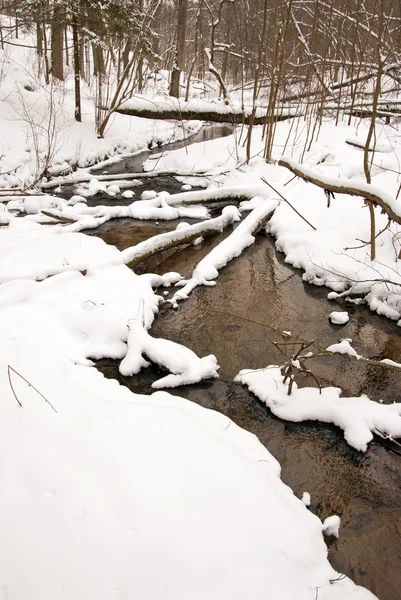 Strömmande forest stream vatten på vintern. kusten snö — Stockfoto