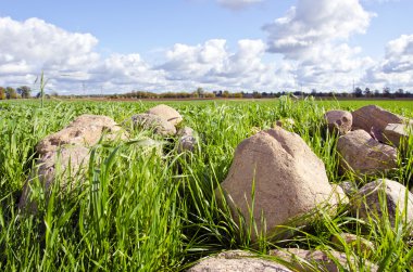 Stone stack pile grass surround agricultural field clipart