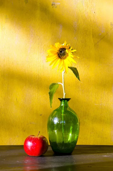 Подсолнух в стеклянной вазе и красное яблоко натюрморт — стоковое фото