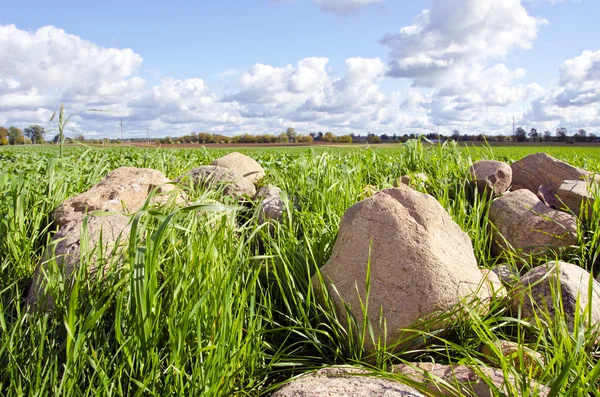 Pila di pietra erba circondano campo agricolo — Foto Stock