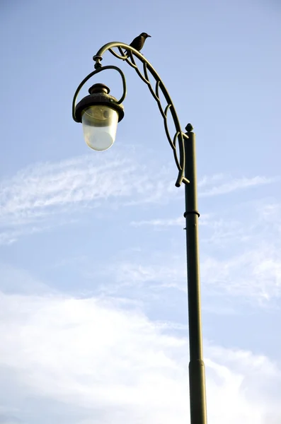 Skleněná lampa kovový dekor pól park osvětlení crow — Stock fotografie