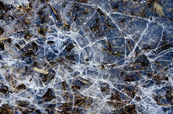 Glace d'eau fissurée sur fond d'hiver de tourbière gelée — Photo