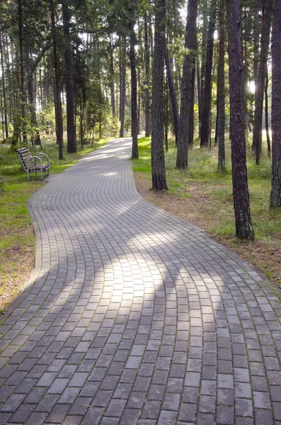 Curva de sendero de baldosas en bosque parque. zona del complejo de banco —  Fotos de Stock