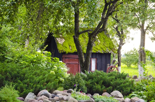 Maison de jardin mossy toit plantes fleurs fond — Photo