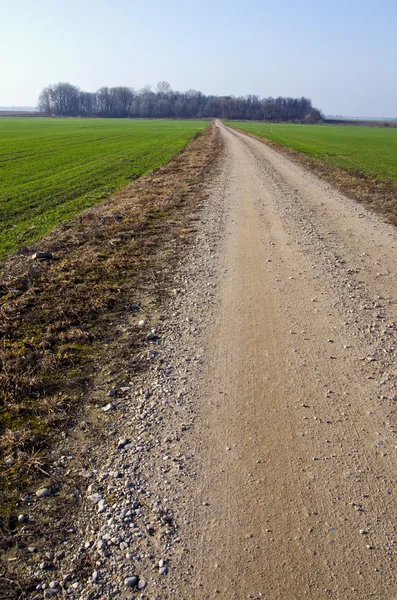 Сельская гравийная дорога между сельскохозяйственными полями — стоковое фото