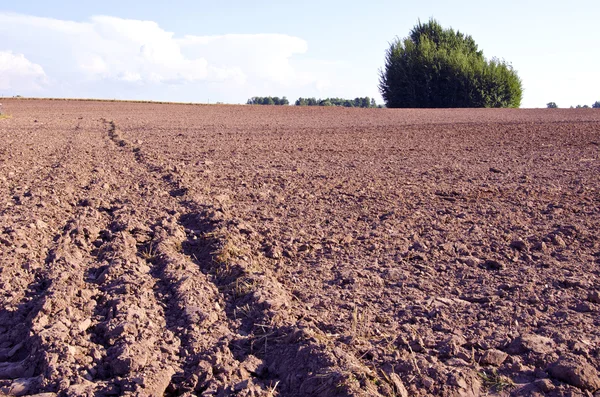 Background plow fertile ground agricultural fields — Stock Photo, Image