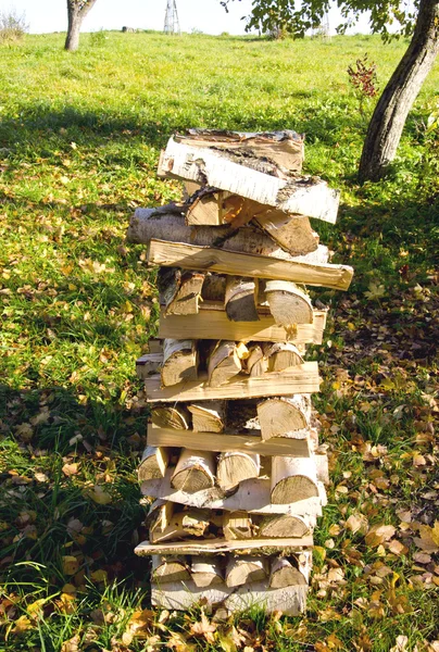 Brzoza drewno kominkowe ładowany stos ekologicznych paliw kominek — Zdjęcie stockowe