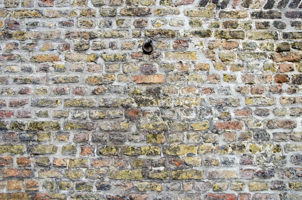 복고풍 벽돌 벽 금속 녹슨 링의 배경 — 스톡 사진