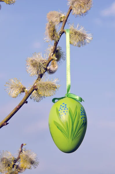 Spring easter sign egg hanging pussy willow branch — Stock Photo, Image